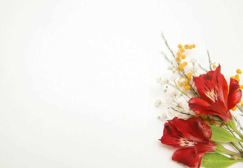 Shelton & Lines Free Instant Online Valuation